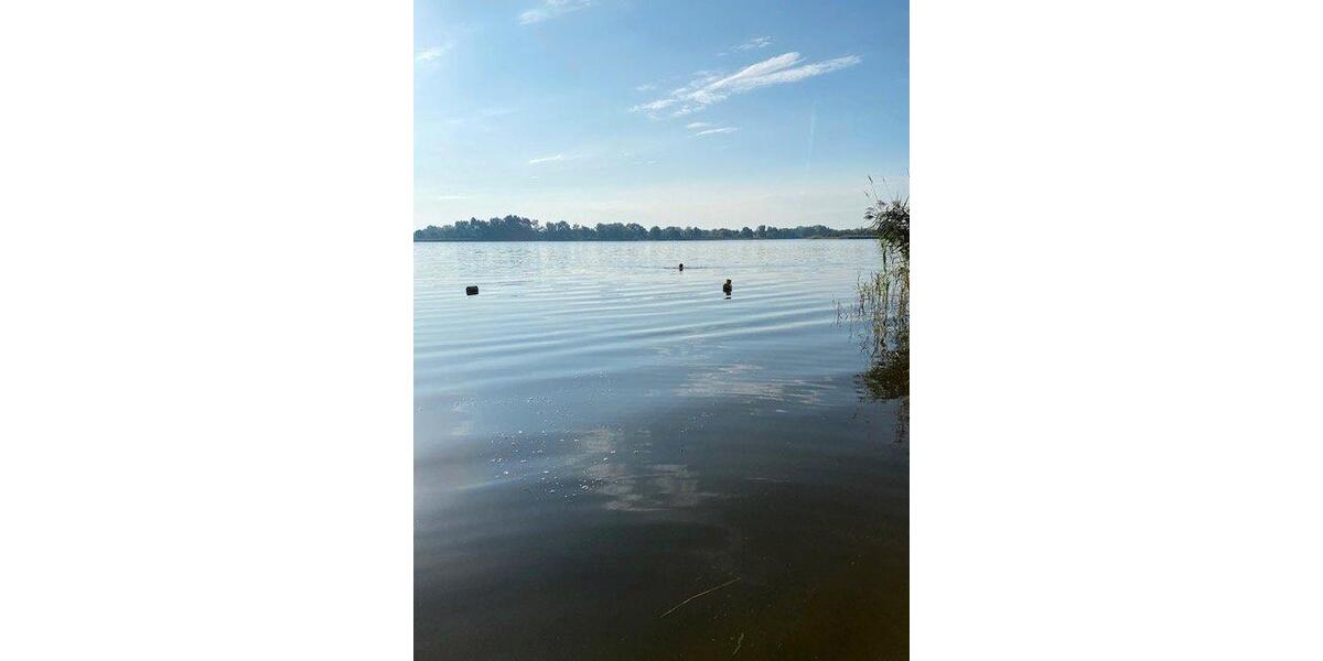Bungalow Beetzsee - 1 Zimmer, 42 m&sup2;, 19.000&euro; | Angebot:26834431