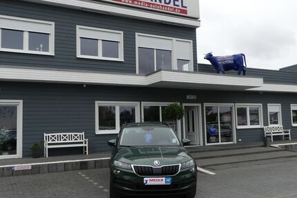 Skoda Karoq 62.000 km 21.000 &euro; Magdeburg 39108