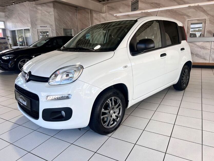 Panda