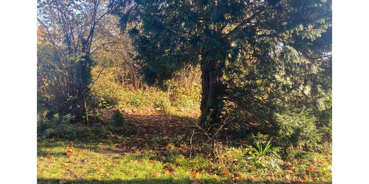 Zentral gelegene EG-Wohnung mit Garten zu vermieten 3 zimmer