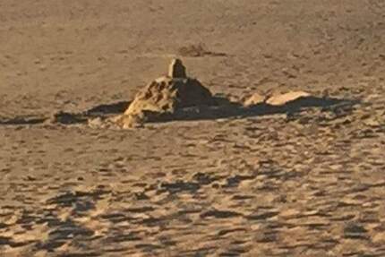 Grundstück Stemwede Levern - 89.000&euro; | Angebot:25265745