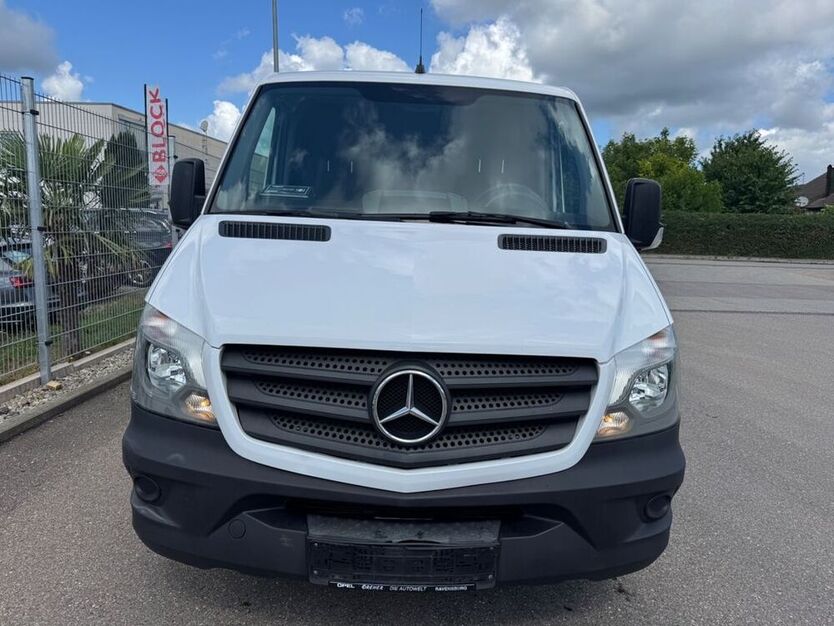 Sprinter