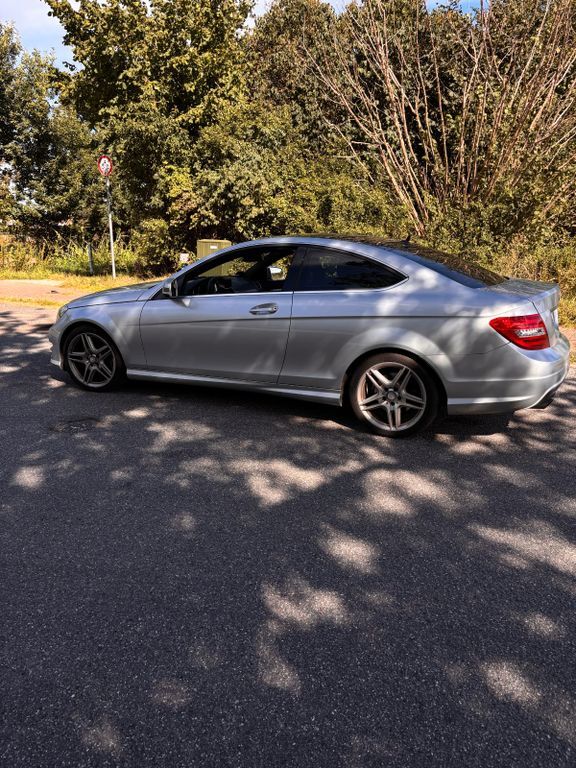 C 250