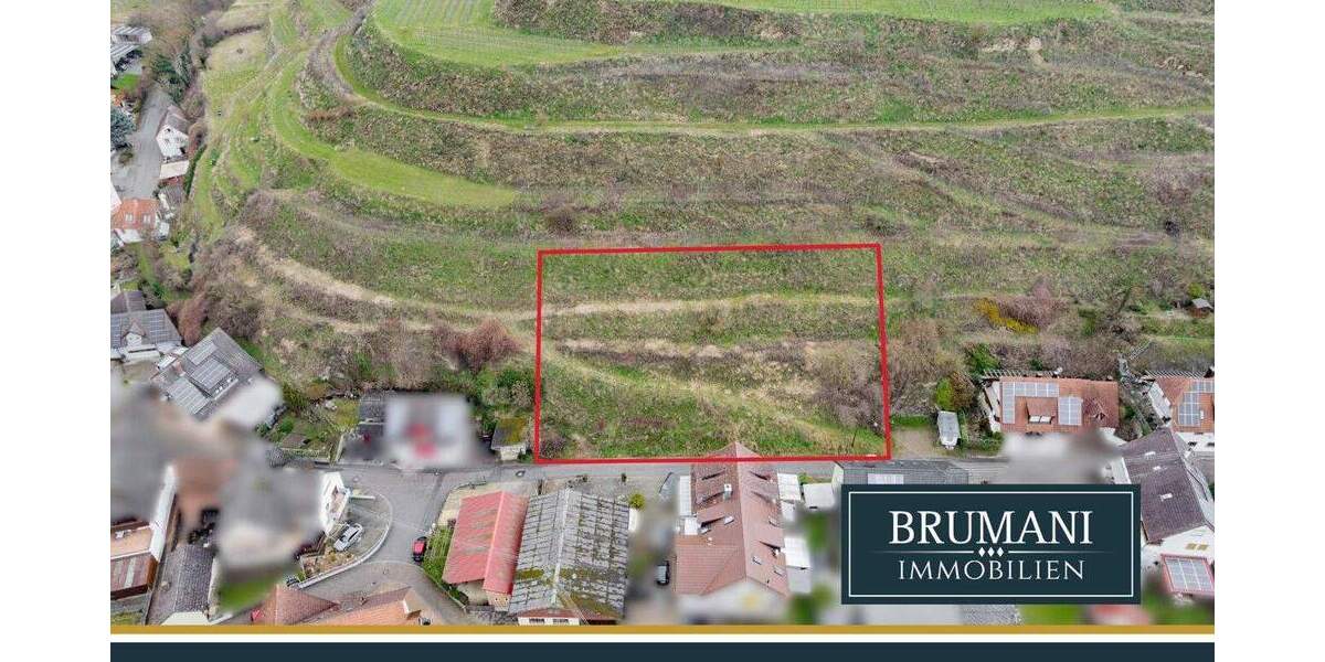 Grundstück Vogtsburg Oberbergen - 347.000&euro; | Angebot:25245079