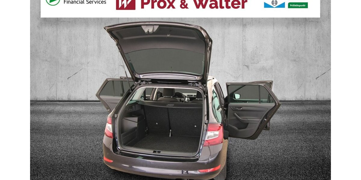 Skoda Fabia Combi TSI Ambition Plus KAMERA+SITZHEIZUNG 52.393 km 15.900 &euro; Hagenow 19230