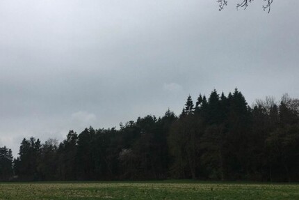 Waldgrundstück Ebersberg 18 ha zimmer