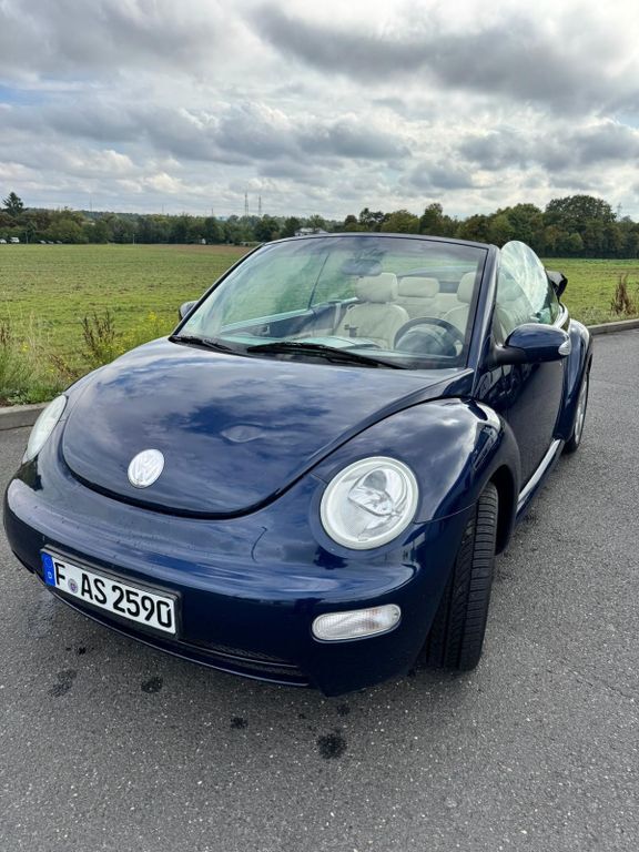 Beetle