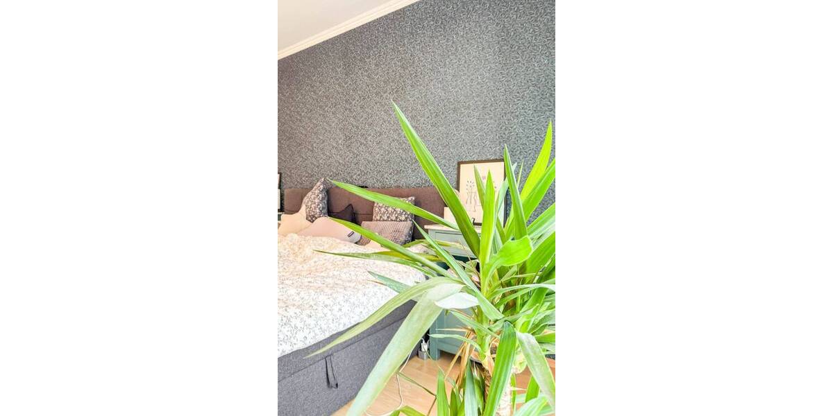 Reihenendhaus Rösrath Hoffnungsthal - 5 Zimmer, 189 m&sup2;, 625.000&euro; | Angebot:26572984