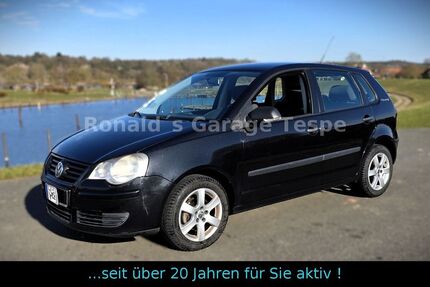 VW Polo 119.800 km 4.900 &euro; Tespe 21395