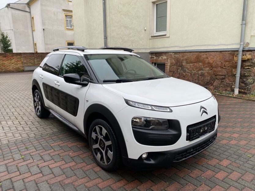 C4 Cactus