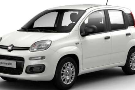 Fiat Panda 6.000 km 14.485 &euro; Pohlheim 35415