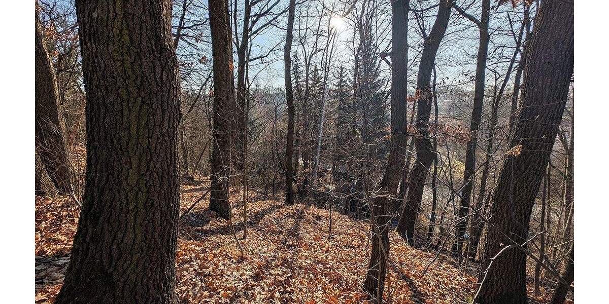 Grundstück Zwickau Auerbach - 119.000&euro; | Angebot:24727123