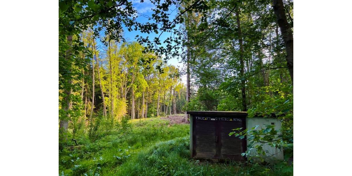 Bauernhaus, Landhaus Neustadt Berthelsdorf - 5 Zimmer, 150 m&sup2;, 485.000&euro; | Angebot:25770653