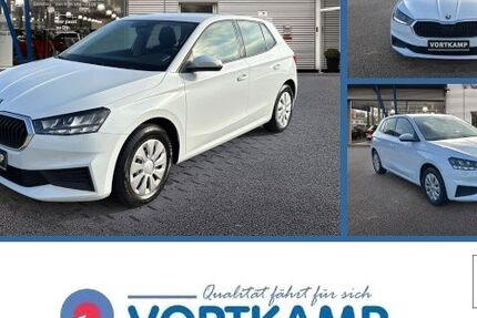 Skoda Fabia 58.174 km 17.480 € Gronau 48599