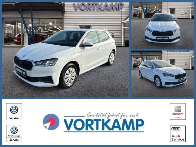 Skoda Fabia 58.174 km 17.480 € Gronau 48599