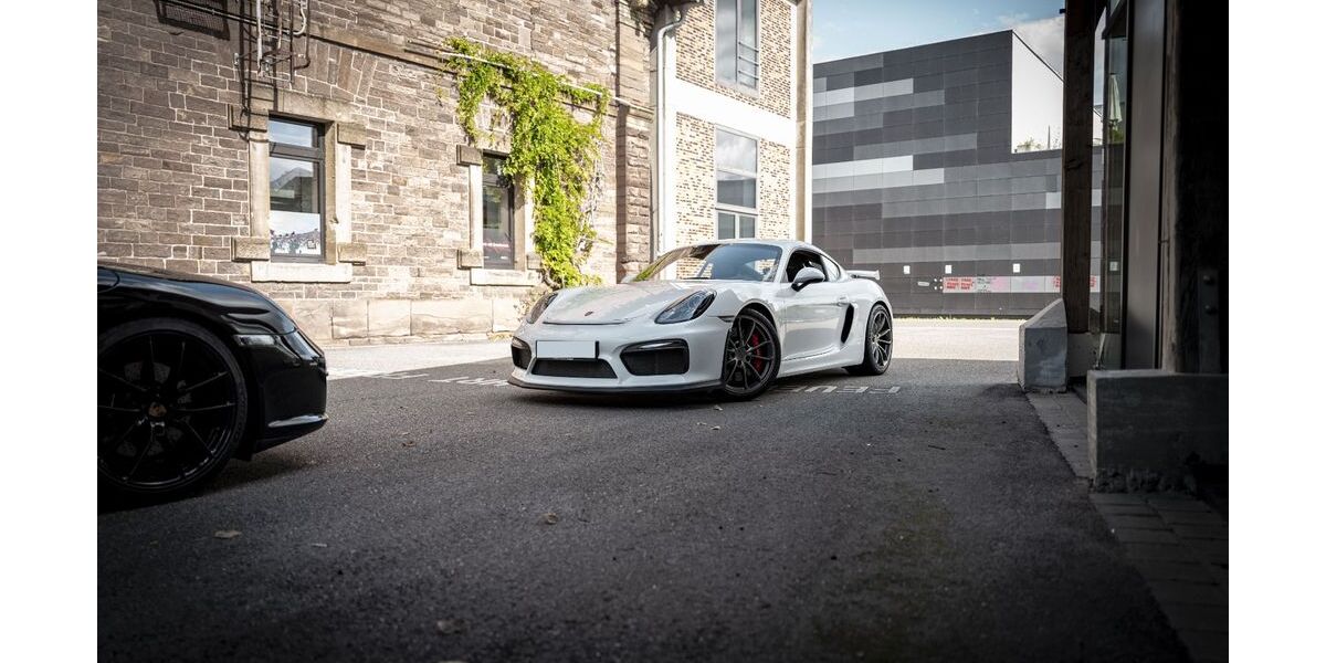 Porsche Cayman 28.000 km 89.981 &euro; Linkenheim 76351