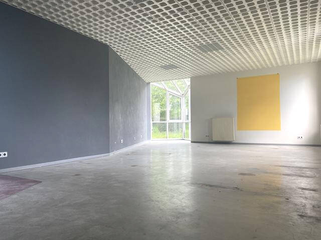 Gewerbeobjekt Singen (Hohentwiel) Singen - 325.000&euro; | Angebot:25708463