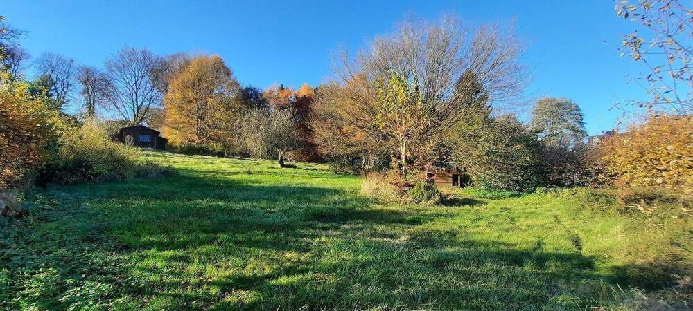 Gewerbeobjekt Dahlem - 275.000&euro; | Angebot:24304546