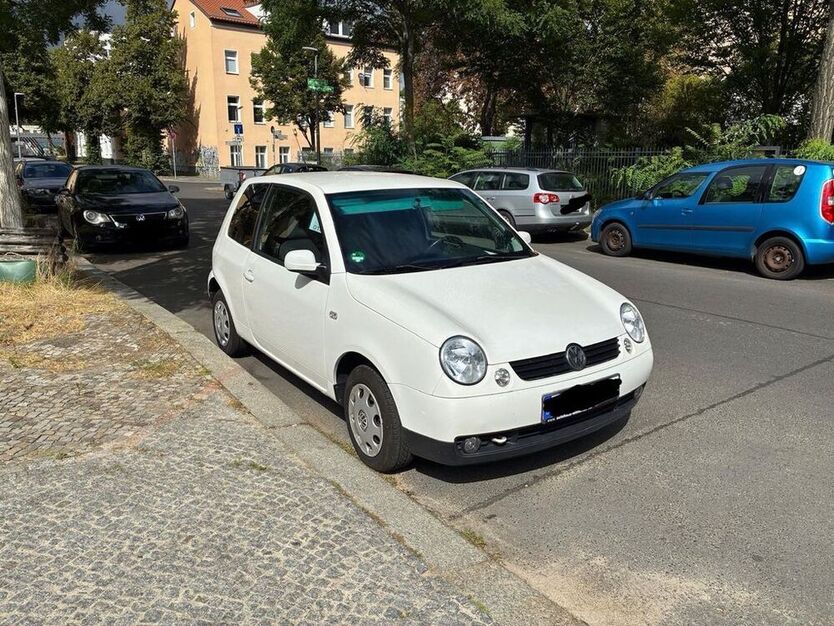 Lupo