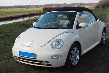 VW Beetle 175.000 km 7.000 &euro; Osterholz-Scharmbeck 27711