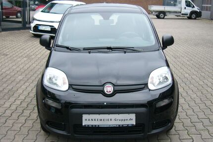 Fiat Panda 13.430 km 13.750 € Ahlen 59227