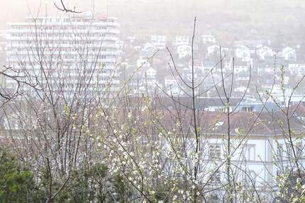 Grundstück Lörrach - 1 Zimmer, 1.600.000&euro; | Angebot:25337992