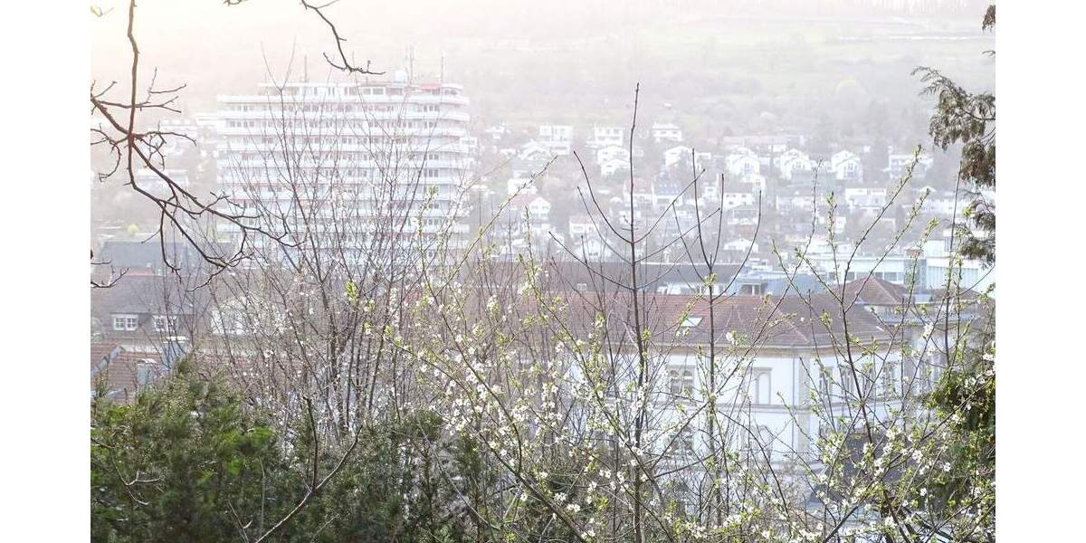 Grundstück Lörrach - 1 Zimmer, 1.600.000&euro; | Angebot:25337992