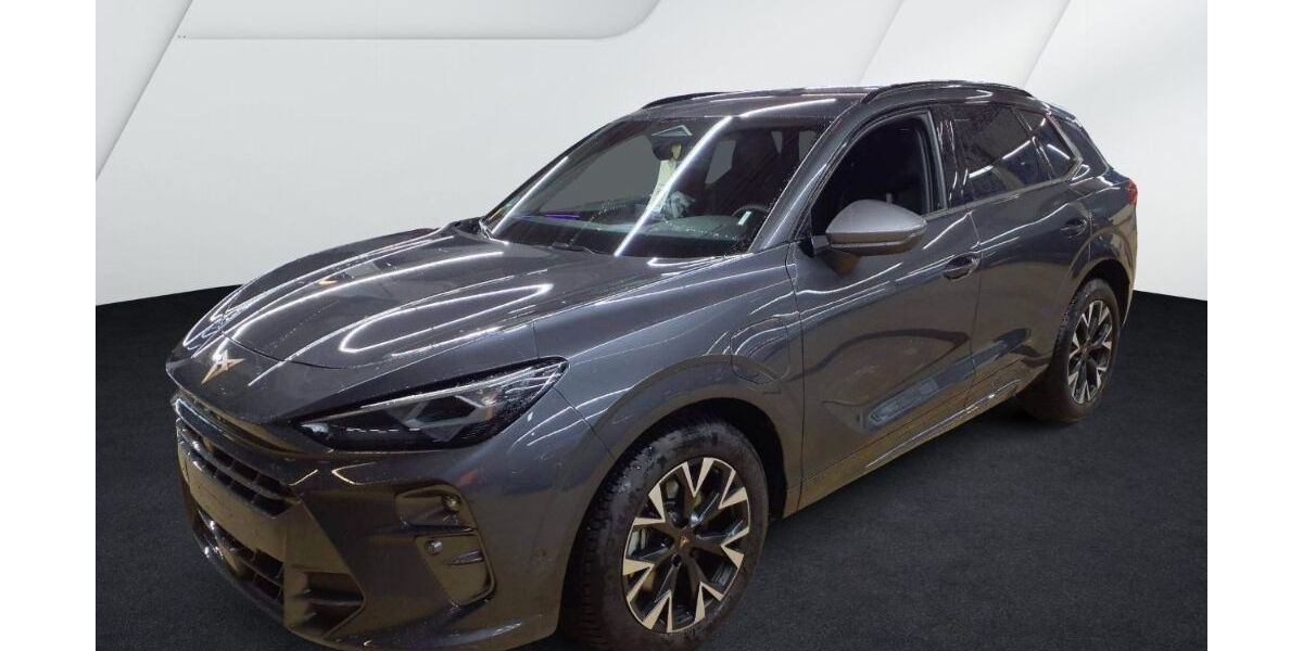 Cupra Terramar 19.894 km 40.825 &euro; Bernau 16321