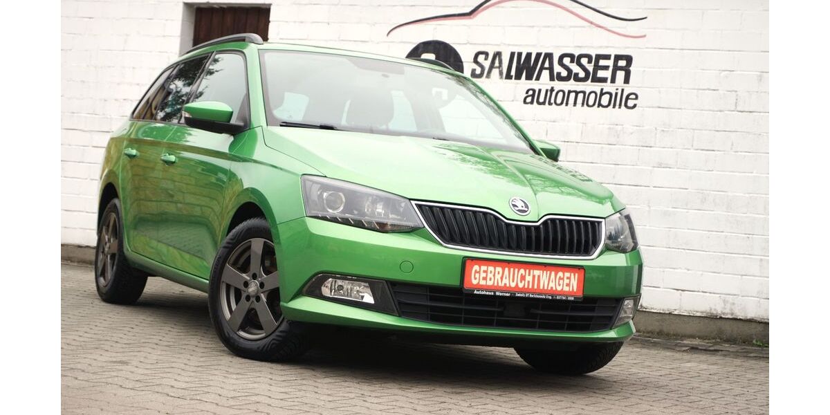 Skoda Fabia 174.900 km 6.500 &euro; Freital 01705