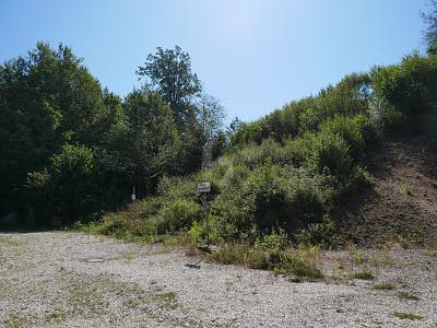 INVESTOREN: BAU EINES MEHRFAMILIENHAUS ODER 2 DHH - Grundstück Regenstauf | Angebot:27365659