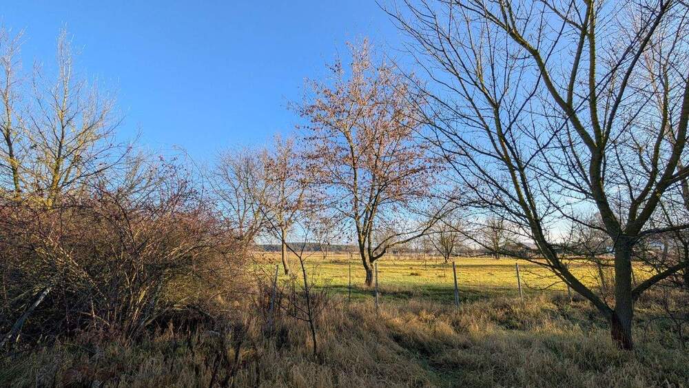 Baugrundstück in ruhiger Wohnlage von Neu Bochow - Groß Kreutz zimmer
