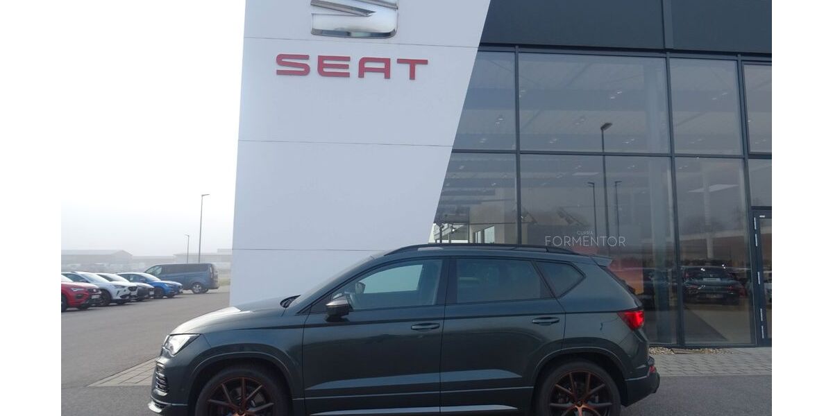 Cupra Ateca 94.400 km 31.490 &euro; Pfatter 93102