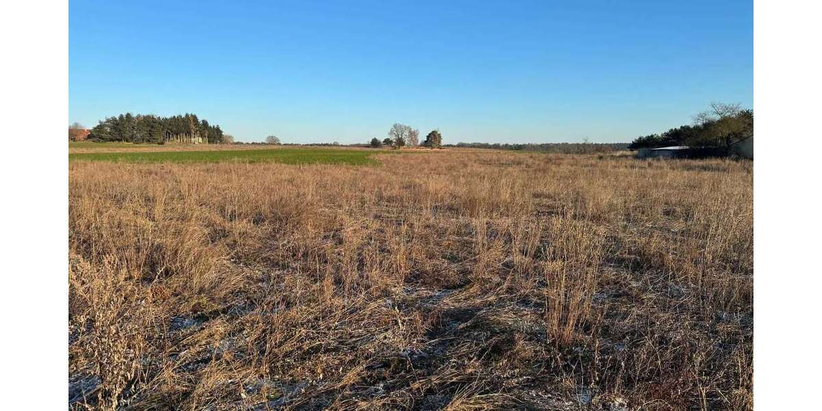 Einfamilienhaus Wiesenburg/Mark Mark - 4 Zimmer, 125 m&sup2;, 332.220&euro; | Angebot:25088423