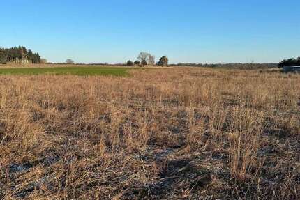 Haus Wiesenburg/Mark Mark - 4 Zimmer, 125 m&sup2;, 332.220&euro; | Angebot:25088423