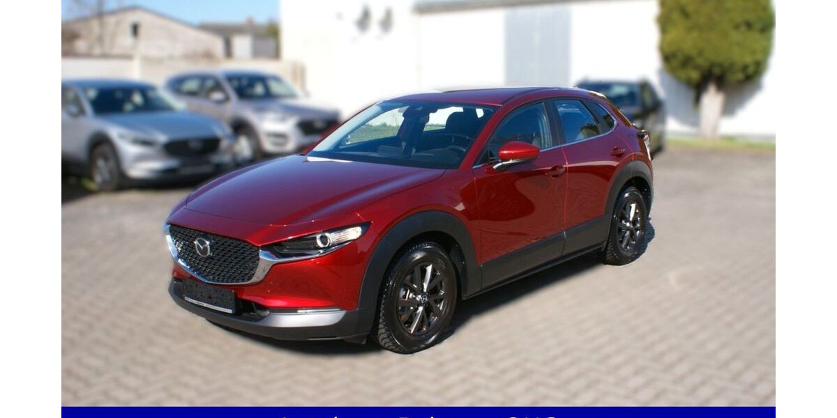 Mazda CX-30 56.849 km 19.990 &euro; Magdeburg 39116