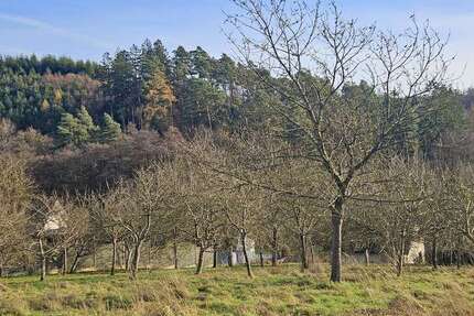 Grundstück Sundern (Sauerland) - 85.000&euro; | Angebot:23862489