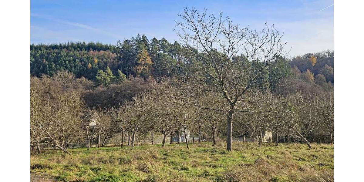 Grundstück Sundern (Sauerland) - 85.000&euro; | Angebot:23862489