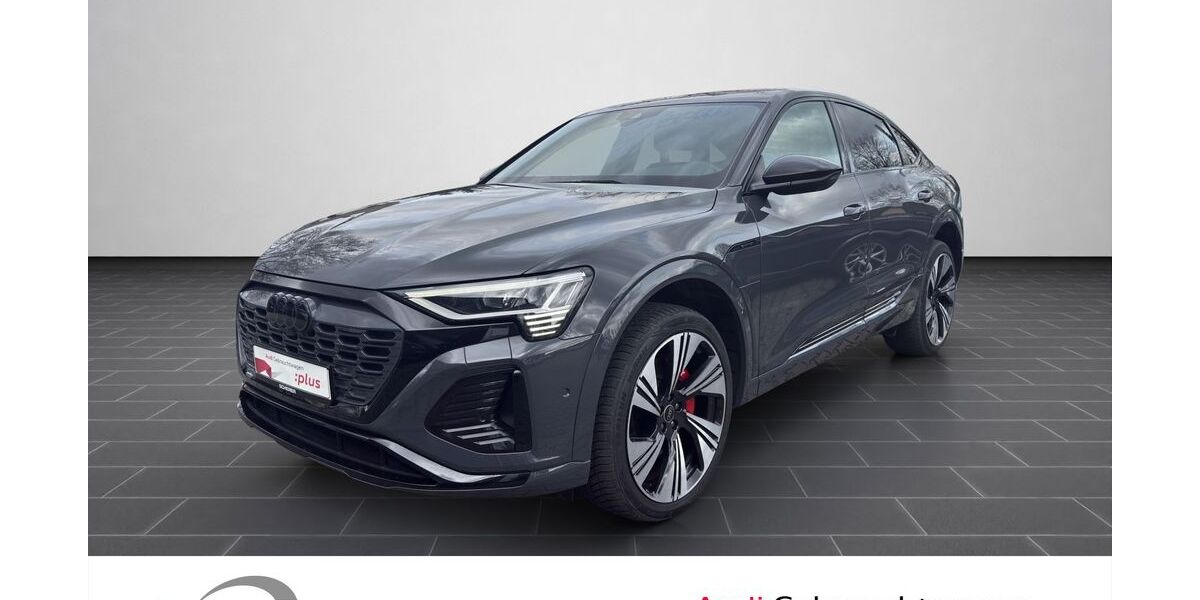 Audi Q8 57.817 km 47.490 &euro; Ludwigshafen 67063