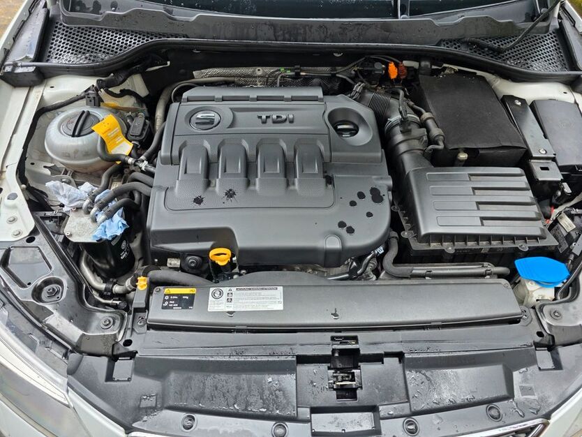 Seat Leon 209.000 km 8.900 € Oberkail 54533