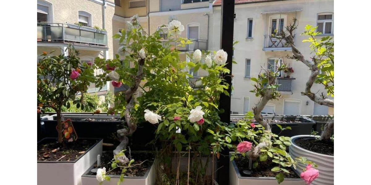 Etagenwohnung Nürnberg Rabus - 5 Zimmer, 130 m&sup2;, 459.000&euro; | Angebot:26992268