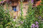 Bungalow Willebadessen - 6 Zimmer, 184 m&sup2;, 320.000&euro; | Angebot:26835265