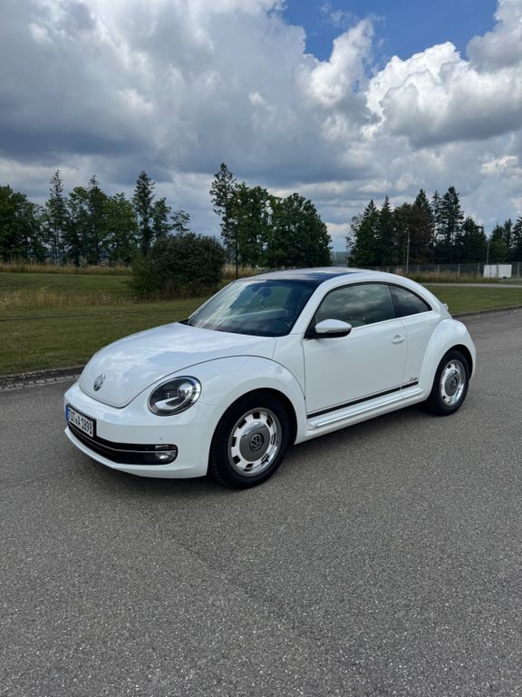 Beetle