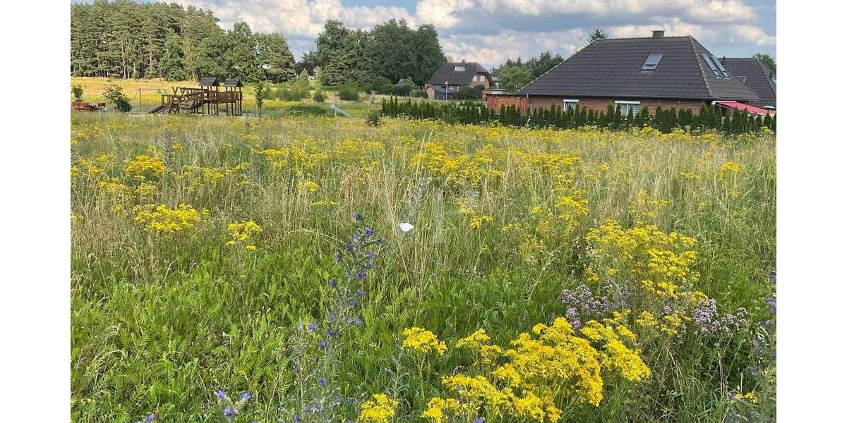 Grundstück Soltendieck - 75.000&euro; | Angebot:25670762