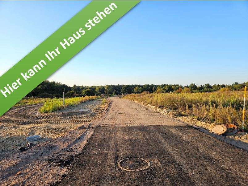 Haus zum Kaufen in Schneverdingen 342.650 € 136 m²