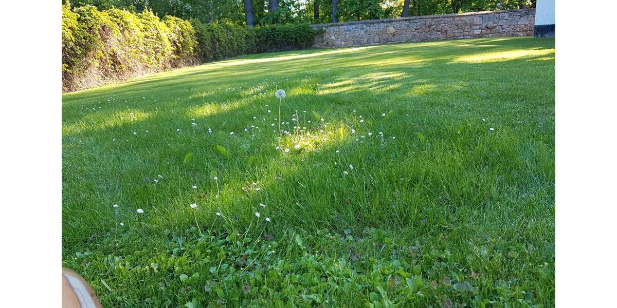 Doppelhaushälfte Falkenstein/Harz Harz - 5 Zimmer, 120 m&sup2;, 229.000&euro; | Angebot:26422251