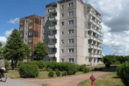 Wohnung zum Mieten in Stralsund 311,93 € 41.59 m² 2 zimmer
