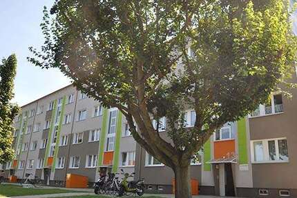 Wohnung Prenzlau - 3 Zimmer, 61 m&sup2;, 515&euro; | Angebot:26930718
