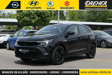 Opel Grandland (X) 21.743 km 23.490 &euro; Wangen 88239