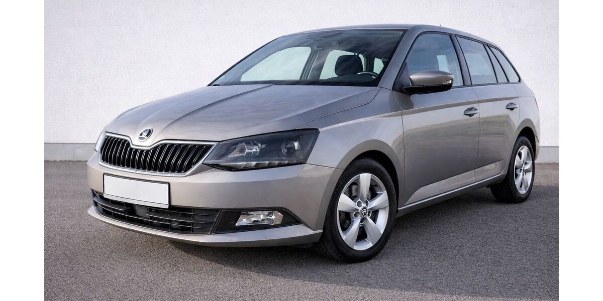 Skoda Fabia 188.500 km 5.990 &euro; Dorf Mecklenburg 23972