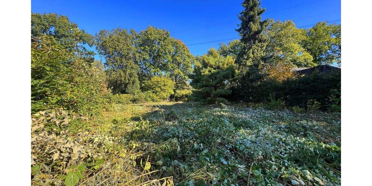 Grundstück HAMBURG VOLKSDORF Volksdorf - 935.000&euro; | Angebot:25303594